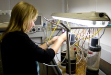 Candida Savage altering some wires under a lamp