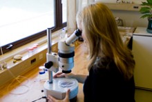 Candida Savage looking through a microscope