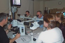 Specialists looking at microscope slides