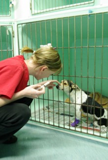 Amber Bone petting a dog in a cage