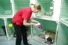 Amber Bone in the clinic with medication outside a dog's cage