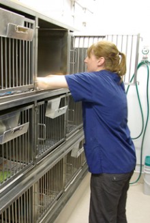 Krystal Kelly cleaning out a cage