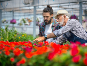 Two men in a flower glasshouse