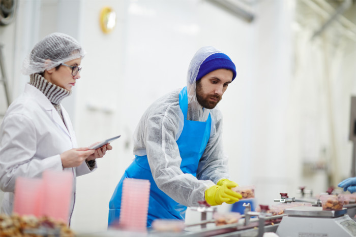 Seafood processors grading the quality of seafood in a factory