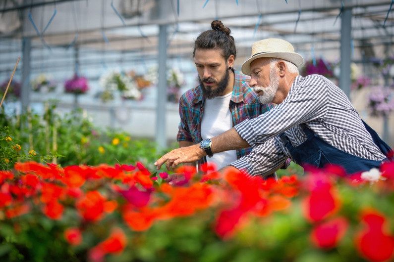 Two men in a flower glasshouse