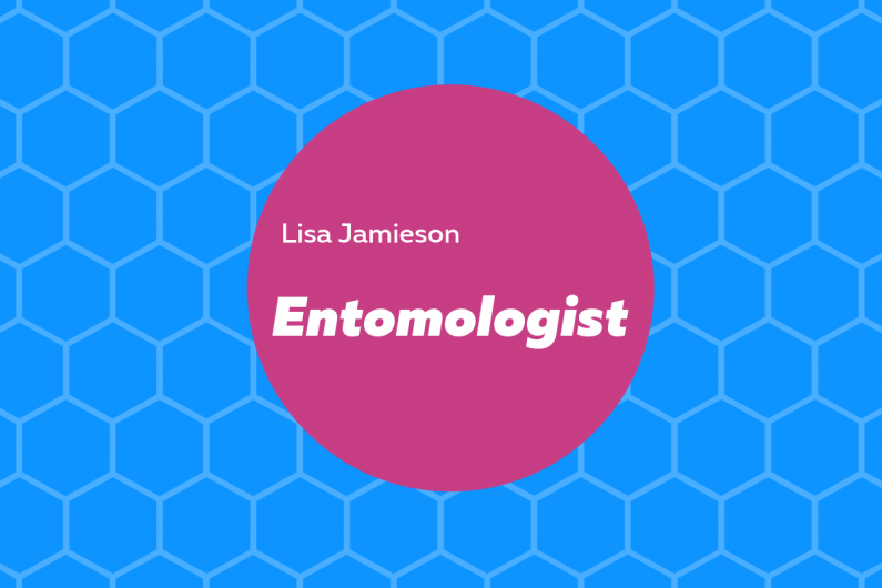 Entomologist infographic