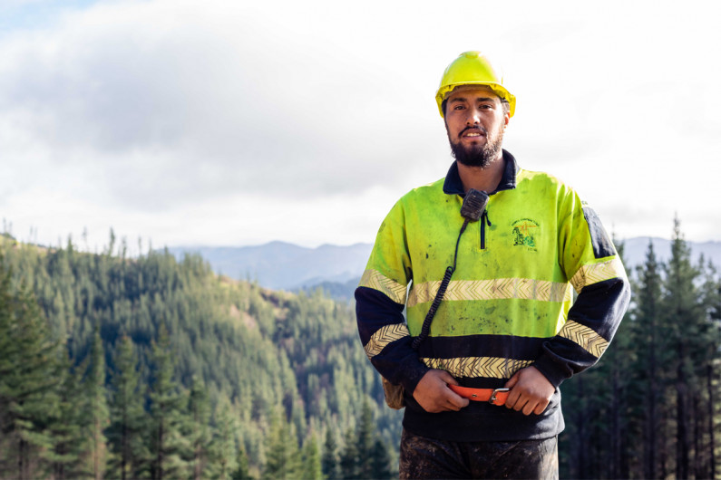 a male forester standing in front of a forestry plantation