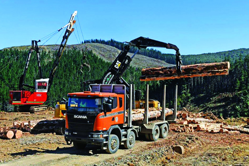 Forestry equipment and vehicles