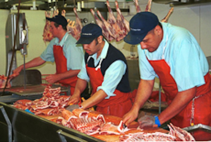 Meat cutter job description resume