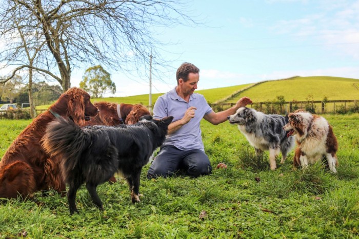 Dog trainer Darran Rowe sits in grass surrounded by dogs