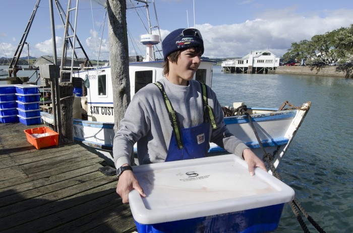A fisherman lifts a bucket of fish beside his boat to be inspected by a fishery officer