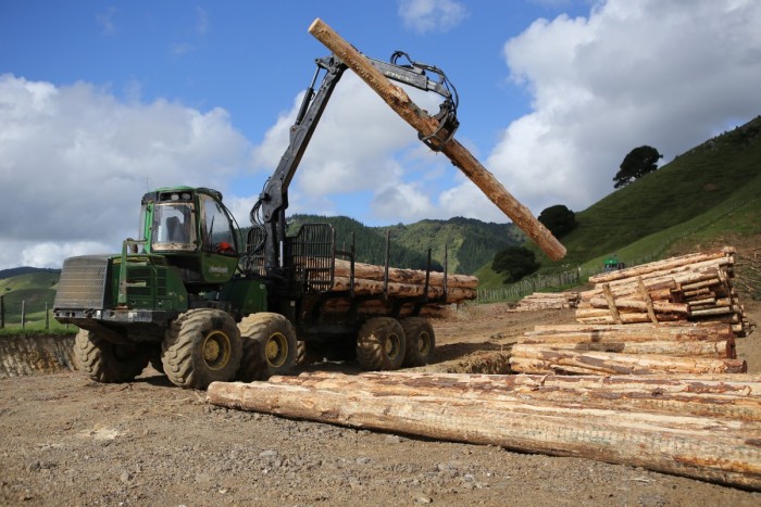 A worker operates a log forwarder in a plantation forest 