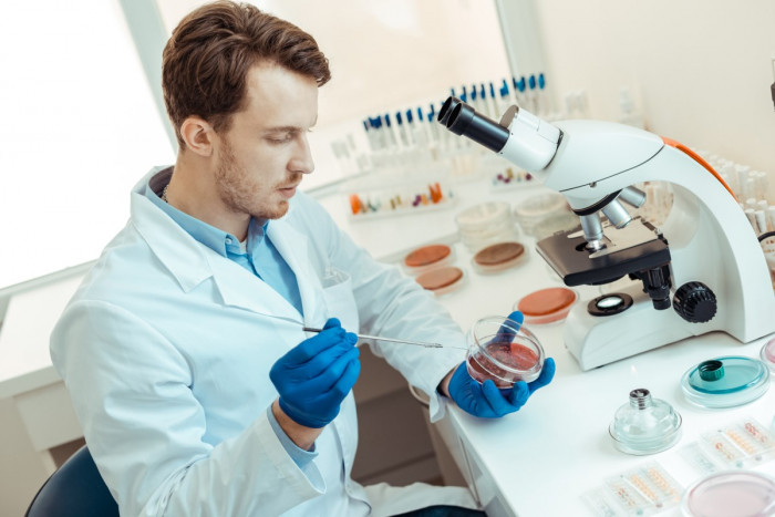 Microbiologist seated in a lab experimenting with micro-organisms in a petri dish