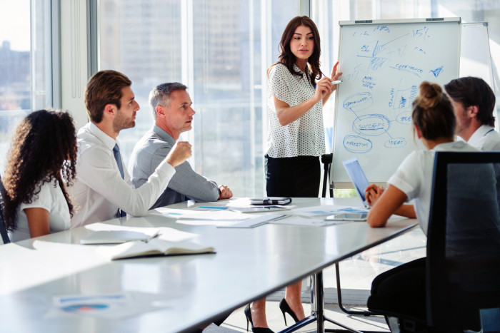 A project manager presents a project overview to her team