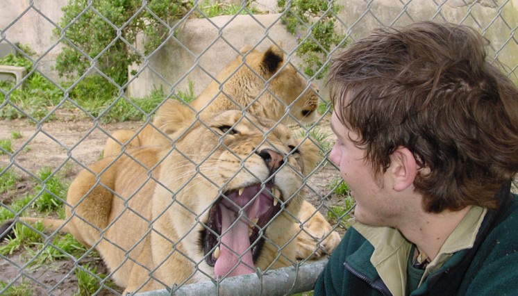 careers that involve animals