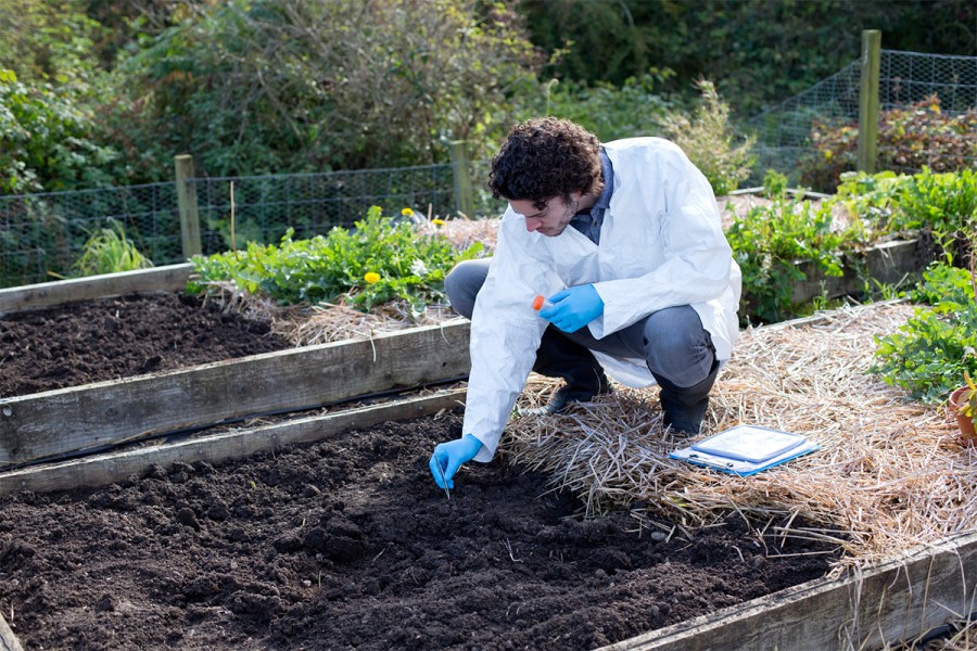 A man gathers soil for a test